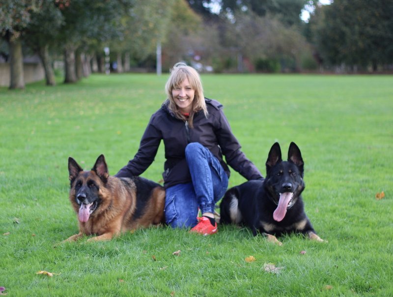 Dalia having fun in a socialization class Dalia leading a puppy socialisation class with two dogs lying calmly beside her – Houseraydas Dog Training Ireland