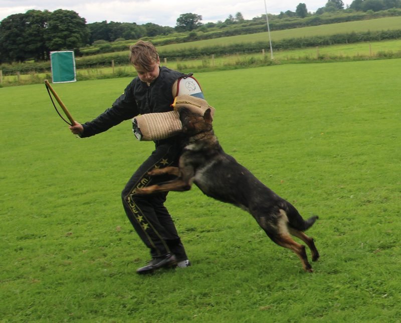 Drama working