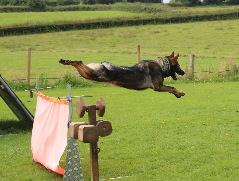 Drama jumping