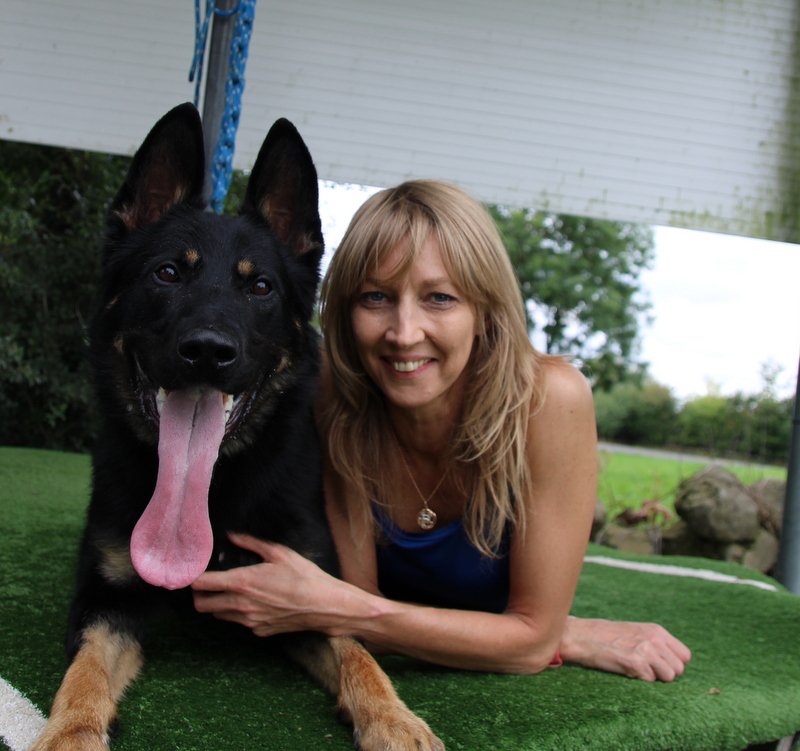 WhatsApp Image 2025-10-23 at 18.40.34 (1) Behaviour rehabilitation session with Dalia at Von Houseraydas professional dog training services, calmly working beside a relaxed dog