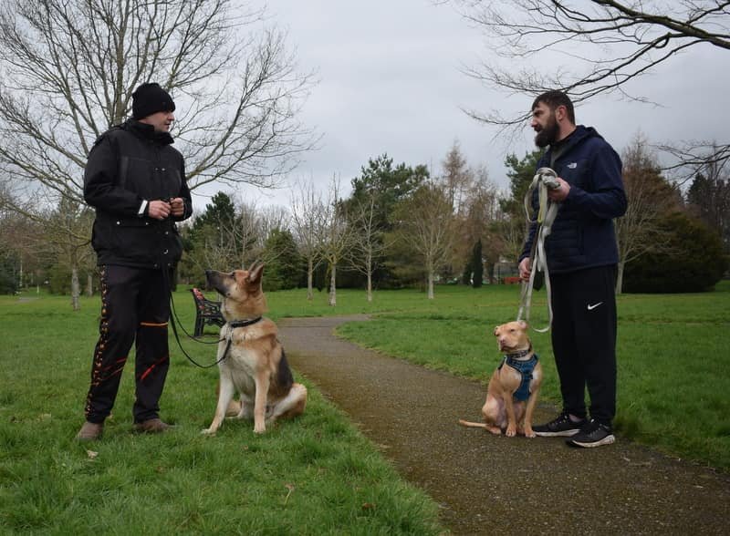 15 Trainer conducting a home visit with a dog for Von Houseraydas professional dog training services