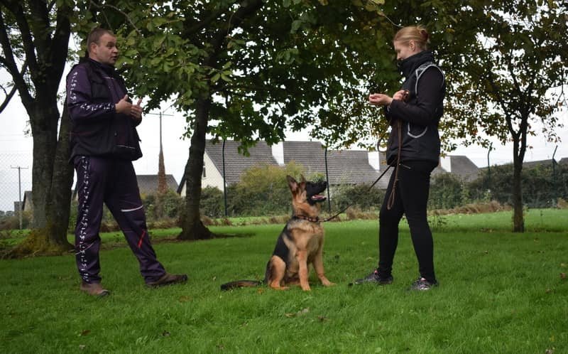 473274070_1056865679576988_2648953319510027609_n Raymond teaching and guiding a client during a private dog training class, providing hands-on instruction and personalized support.