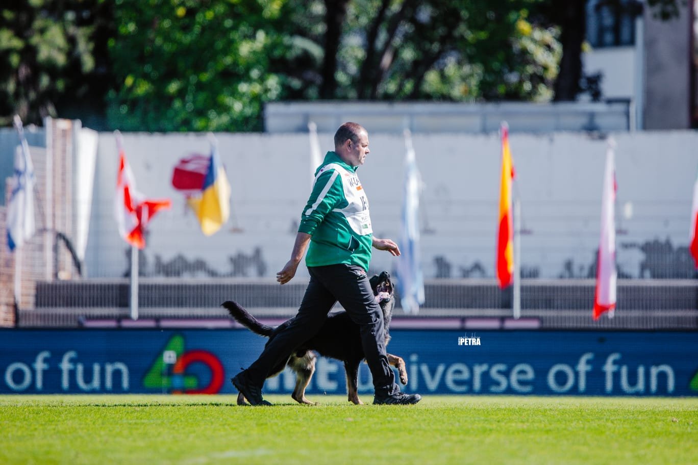 Elite IGP dog training Ireland at Houseraydas