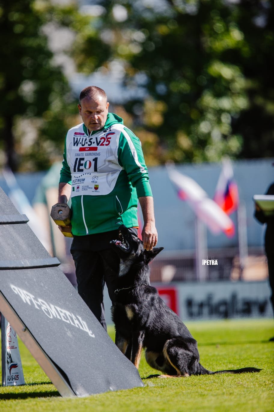 Houseraydas dog training Munster Ireland